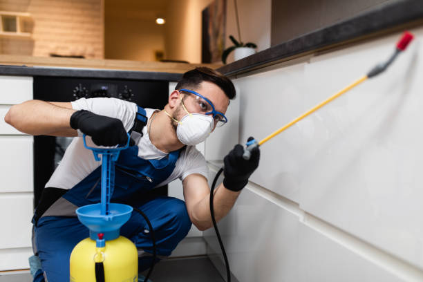 Best Mosquito Control Services  in Coson, OK