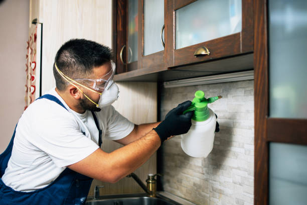 Best Insect Control  in Coson, OK