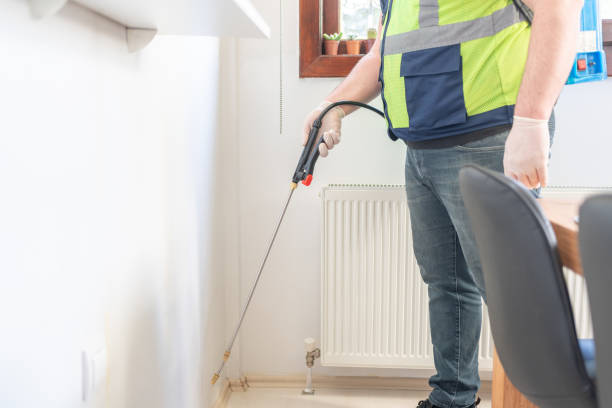 Best Wasp Removal Services  in Coson, OK