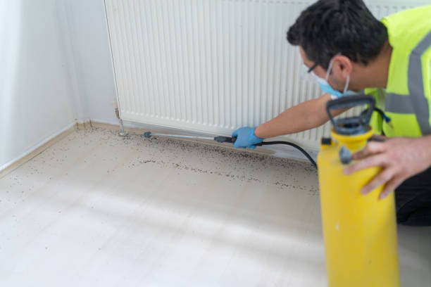 Best Bed Bug Extermination  in Coson, OK