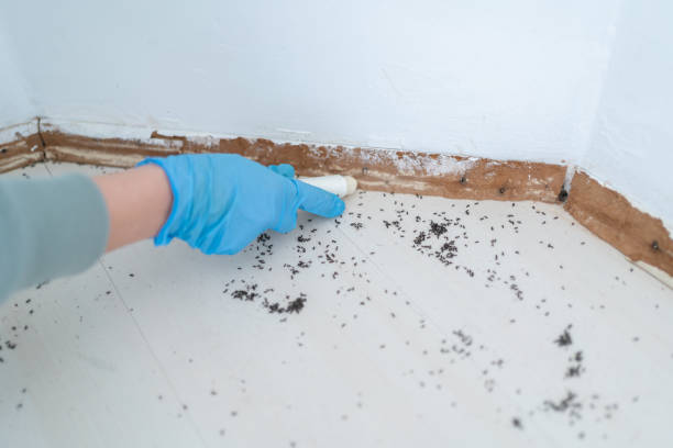 Best Best Pest Control Companies  in Coson, OK