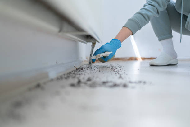Best Wildlife Control Services  in Coson, OK